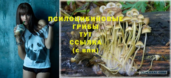 a pvp Алексин