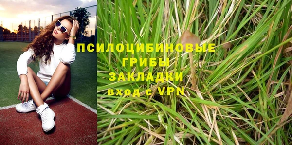 a pvp Алексин