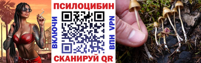 Купить  Никольское  Галлюциногенные грибы мицелий 