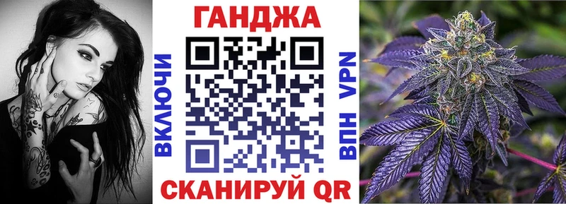 Конопля сатива  Купить где  Никольское 